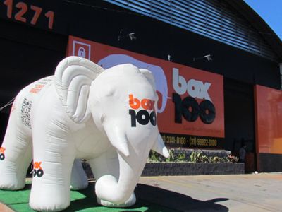 Box100bh-amerciovespusio